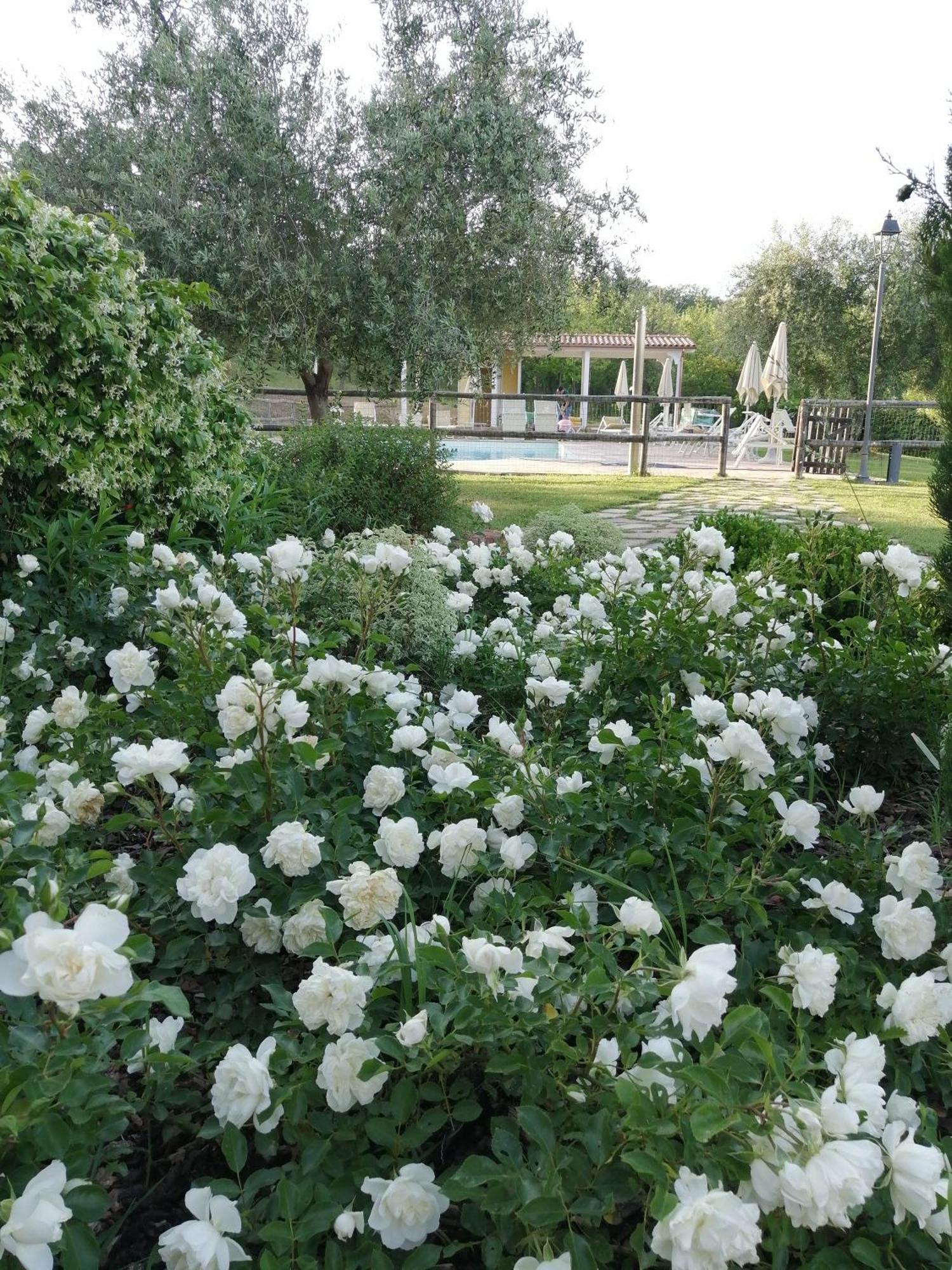 Agriturismo Villa Beatrice Mondavio Kültér fotó